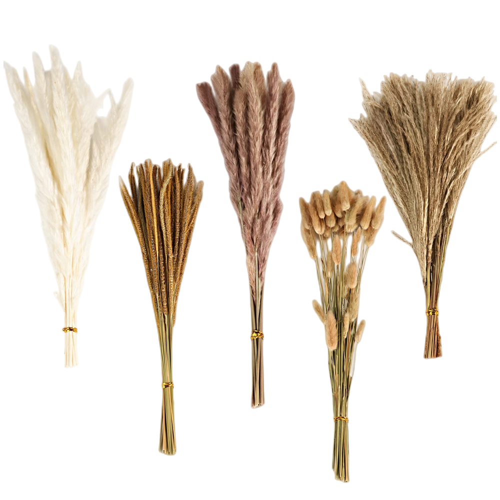 Ramo de Flores Secas Mixtas Vi - Dried Flower Bulk reseña y precio