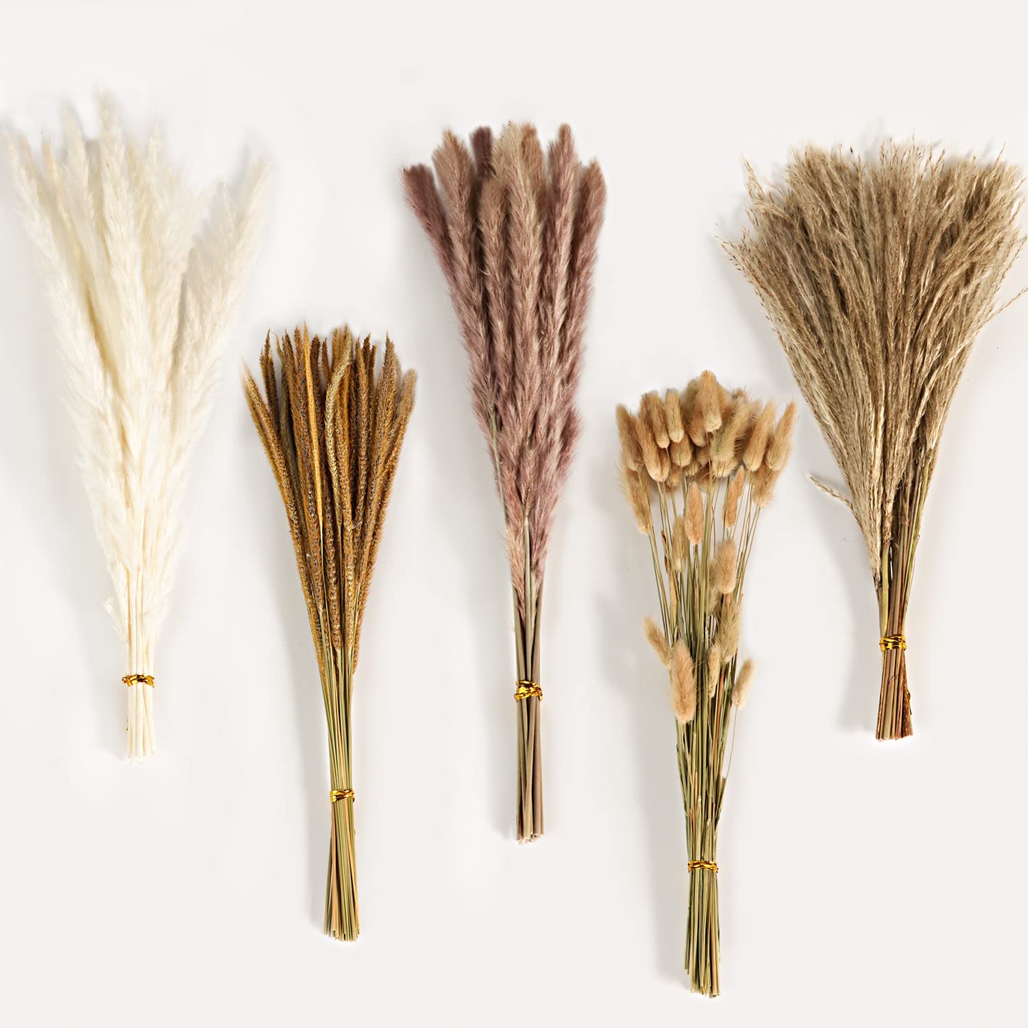 Ramo de Flores Secas Mixtas Vi - Dried Flower Bulk reseña y precio
