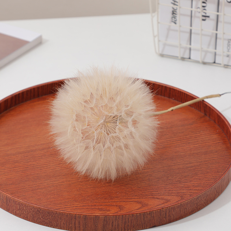 Kit de Manualidades con Resina - Resin Crafts Diy reseña y precio